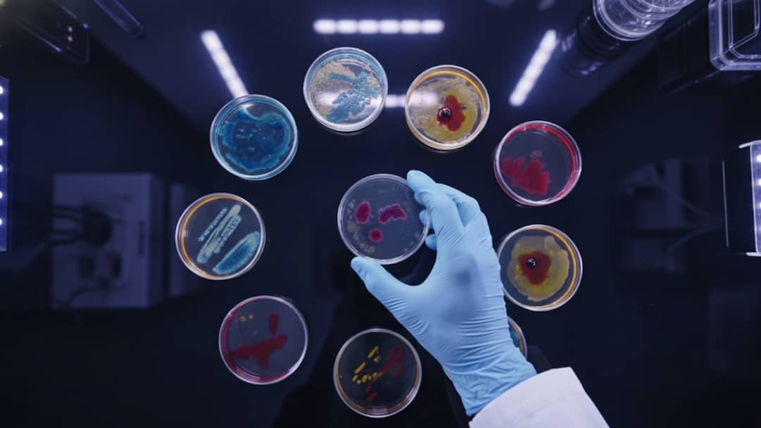 Contoh Mikrobiologi: Jenis, Peran, dan Penerapannya di Industri